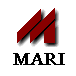 MARI Group Limited